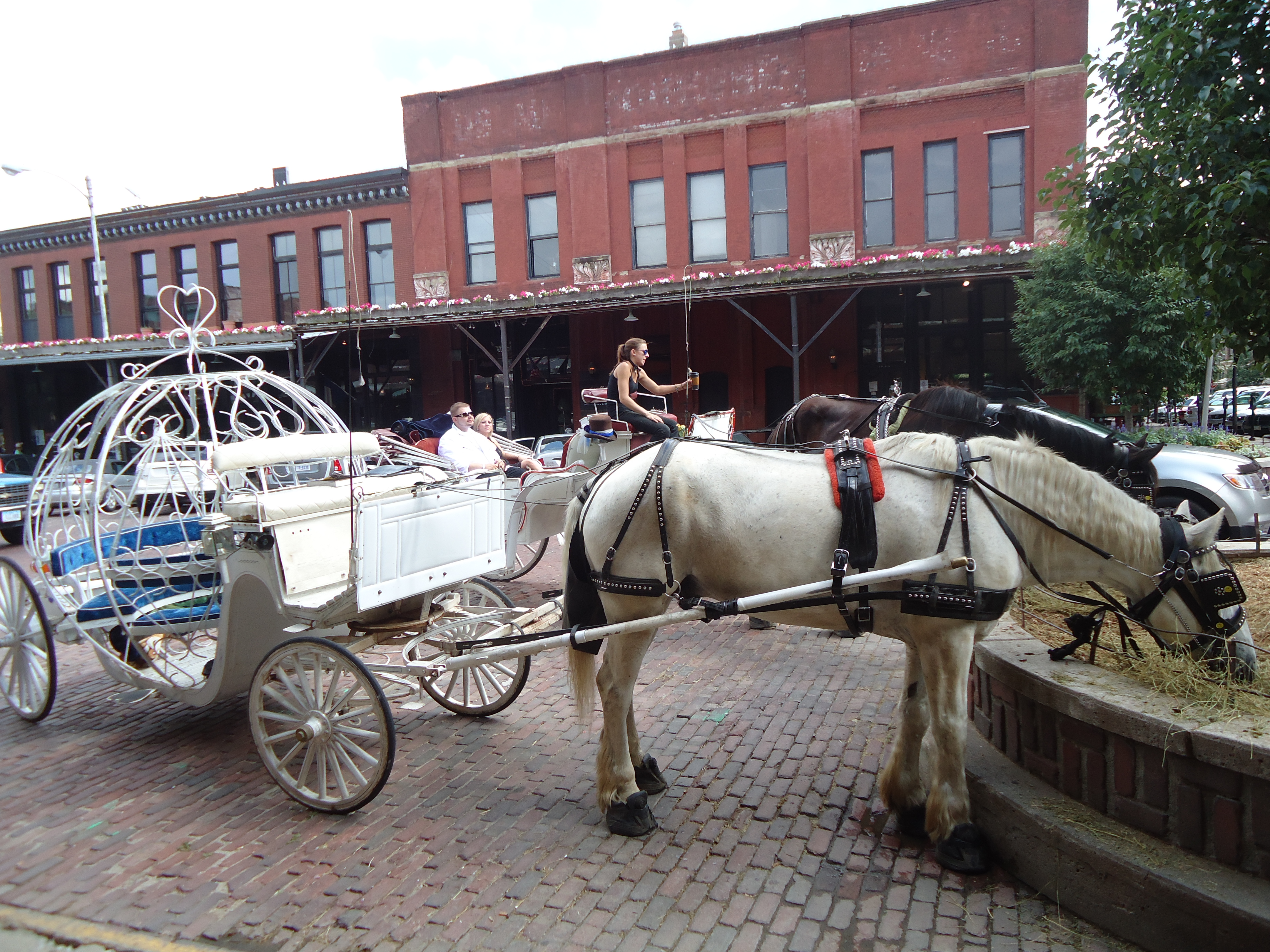 Horse Carriage, Omaha